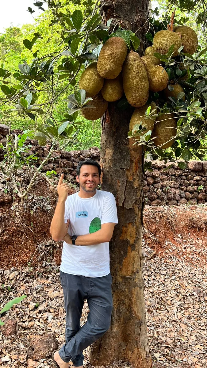 Jackfruit tree in Sri Lanka